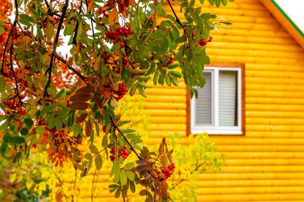 Garden Window Replacement in Burleson